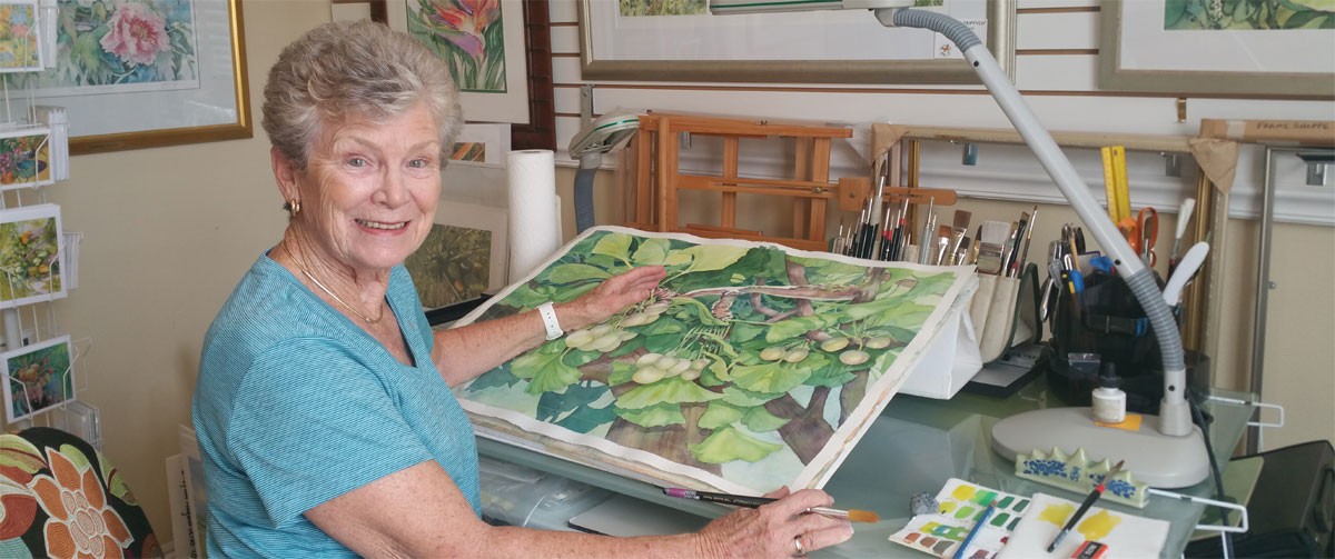 Gail B White, Watercolor Artist