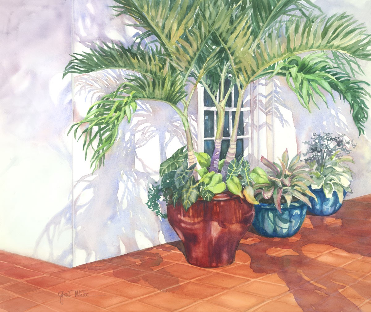 Tropical Shadows