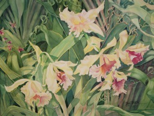 Orchidstration